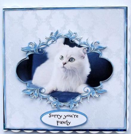 Purrfect Kitty by Hilary Shemmans