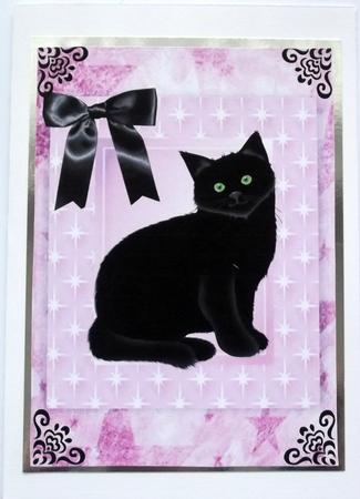 Lucky Black Cat in Pink Star Frame A4 by Hilary Shemmans
