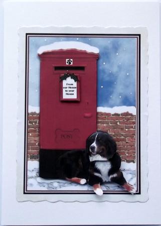 Bernese Mountain Dog Christmas Post Box by Hilary Shemmans