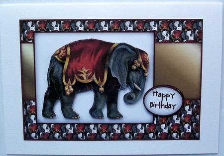Circus Elephant Sbs by Hilary Shemmans