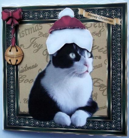 Meowy Christmas by Hilary Shemmans
