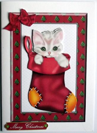 Cute Kitten in Red Stocking by Hilary Shemmans