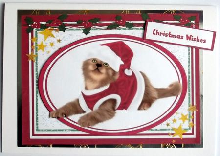Cute Cat in a Santa Suit  by Hilary Shemmans