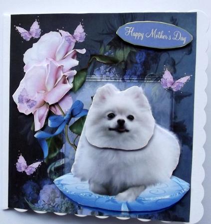 Rose Pomeranian Dog Portrait & Decoupage by Hilary Shemmans
