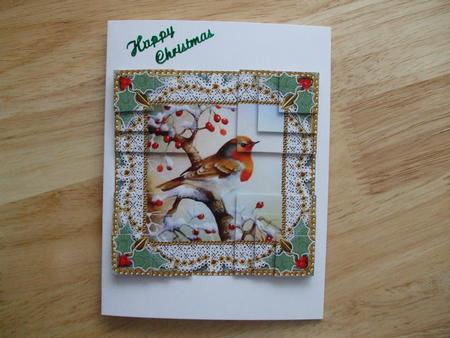 Robin 1 Lace All 4 Corner Stacker Card Front by Hilary Shemmans