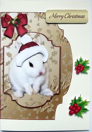White Bunny in Santa Hat with Topper & Card by Hilary Shemmans