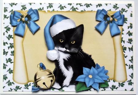 Black Kitten in Blue Santa Hat on a Scroll Featured Gallery Photo