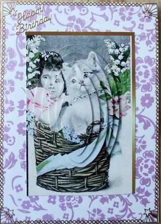 My Lovely Cat by Hilary Shemmans