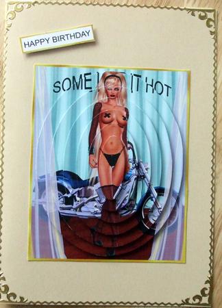 Some Like It Hot 46 by Hilary Shemmans