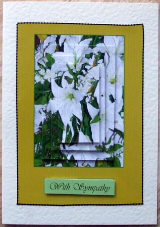 White Lilies with Sympathy Best Wishes Congratulations by Hilary Shemmans
