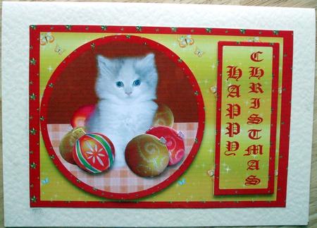 Kitten with Baubles by Hilary Shemmans