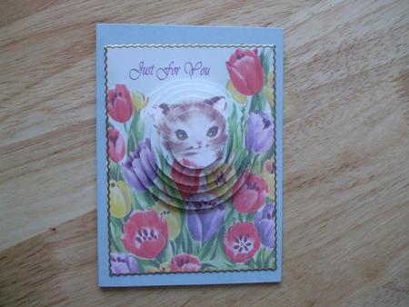 Floral Kitty by Hilary Shemmans