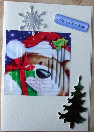 Christmas Bear, Square Pyramids by Hilary Shemmans
