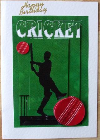 Cricket by Hilary Shemmans