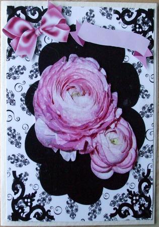 Pink Roses by Hilary Shemmans