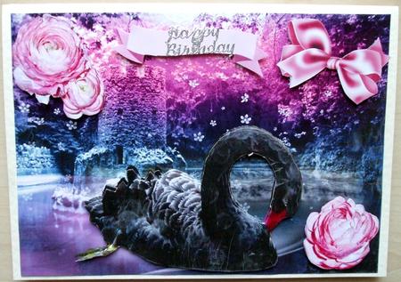 Beautiful Black Swan, with Pink Roses by Hilary Shemmans