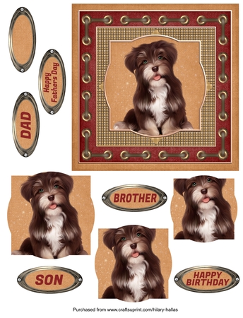Julias Dogs by Hilary Hallas