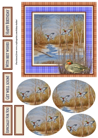 Ducks over stream by Hilary Hallas