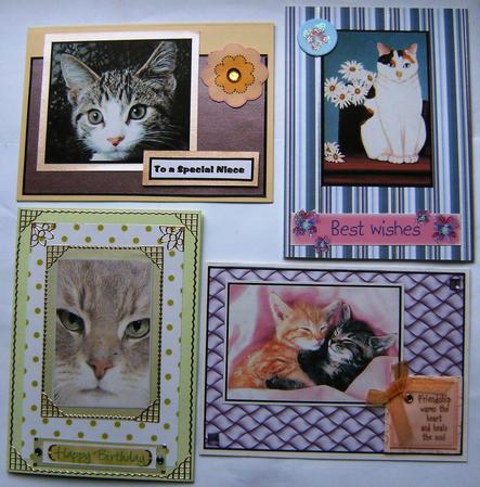 Feline Friends by Hilary Hallas