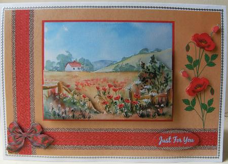 Poppy Field Original Watercolour Painting by Hilary Hallas