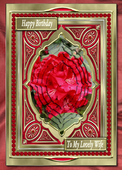 Medieval Frames by Hilary Hallas