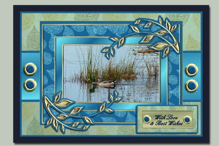 Lovely Leaf Frames by Hilary Hallas