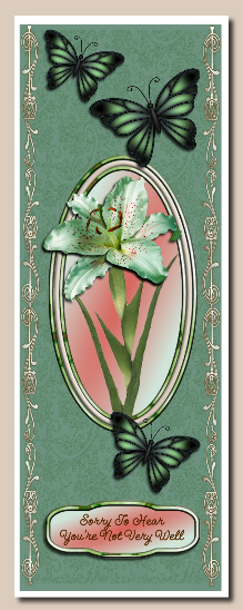 Cu 9 Butterflies Set 2 by Hilary Hallas