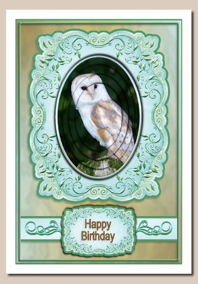 Barn Owl by Hilary Hallas