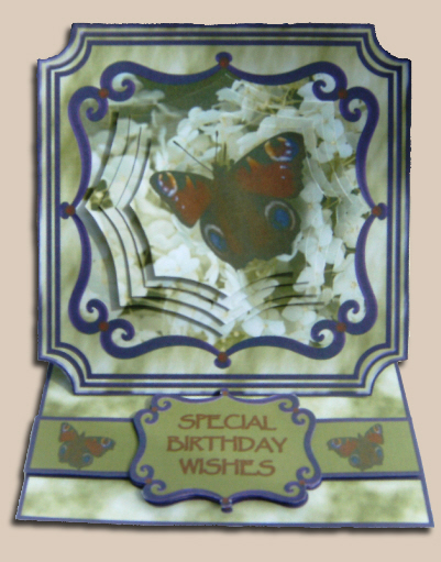 Peacock Butterfly Selection Two Cu4cu by Hilary Hallas