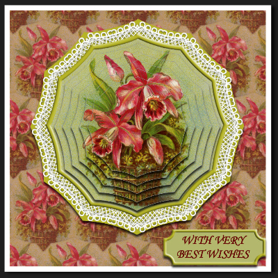 Four Lace Doilies - with Picot Edges Set One - Cu4cu by Hilary Hallas