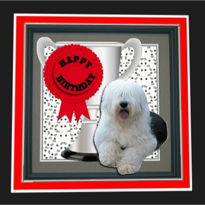 Old English Sheepdog Trophy & Rosette 8x8 Card by Hilary Hallas