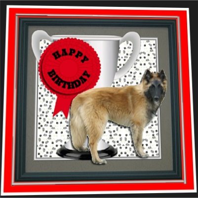 Belgian Shepherd Dog (tervueren) Trophy & Rosette 8x8 Card by Hilary Hallas