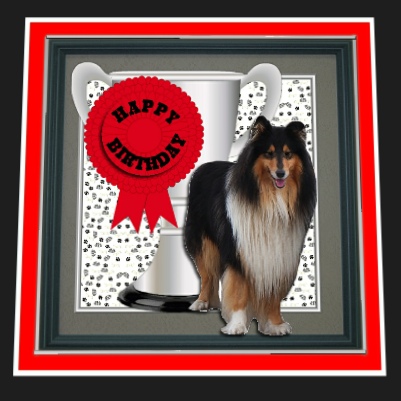 Rough Collie Trophy & Rosette 8x8 Card by Hilary Hallas