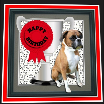 Boxer Dog Trophy & Rosette 8x8 Card by Hilary Hallas