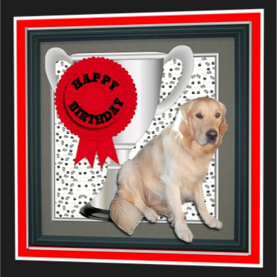 Golden Retriever Trophy & Rosette 8x8 Card by Hilary Hallas