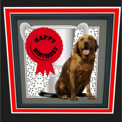 Labrador Retriever Trophy & Rosette 8x8 Card by Hilary Hallas
