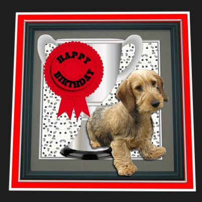 Dachshund,wirehaired,trophy & Rosette 8x8 Card by Hilary Hallas