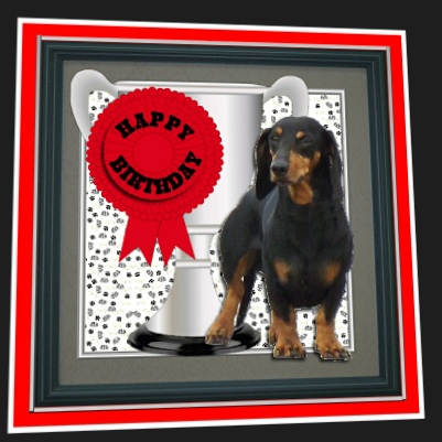 Dachshund Trophy & Rosette 8x8 Card by Hilary Hallas
