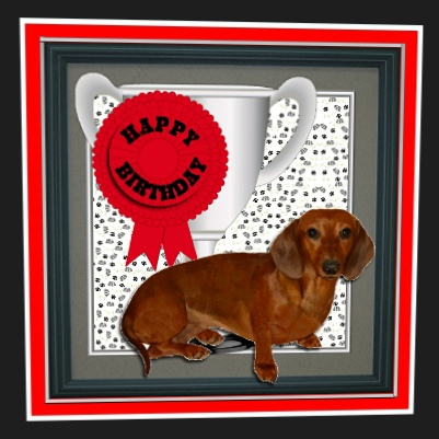 Dachshund Trophy & Rosette 8x8 Card by Hilary Hallas