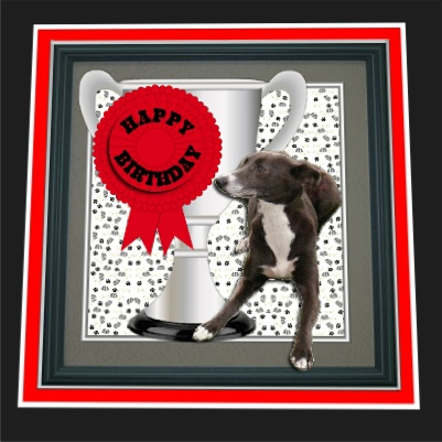 Whippet Trophy & Rosette 8x8 Card by Hilary Hallas