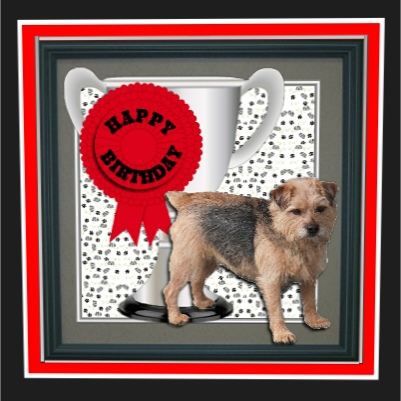 Norfolk Terrier Trophy & Rosette 8x8 Card by Hilary Hallas