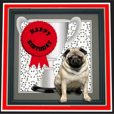 Pug Dog Trophy and Rosette 8x8 Card by Hilary Hallas