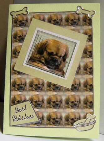 Tibetan Spaniel Pyramid with Background by Hilary Hallas