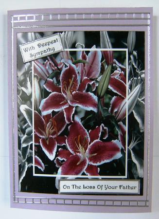 Words of Comfort - Stargazer Lilies Sympathy Card by Hilary Hallas