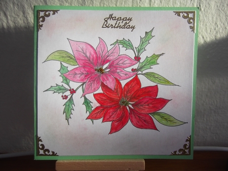 Poinsettia Digital Stamp, colouring page. digi stamp Coloring by Hilda Mullinger