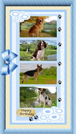 Only Dots Strip Frames - Pastels by Hilda Mullinger