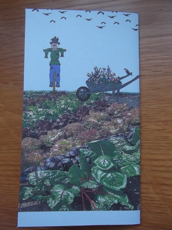 BIRTHDAY BOY GIFT VOUCHER WALLET by Hilda Mullinger