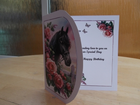 OVER THE EDGE HORSE FRONT AND BACK by Hilda Mullinger