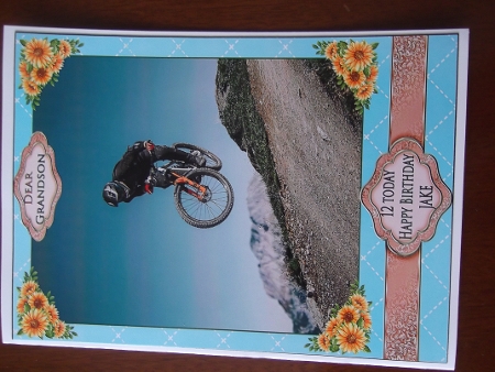 MOUNTAIN BIKE 2 by Hilda Mullinger