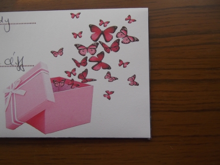 Female gift wallet with butterflies by Hilda Mullinger